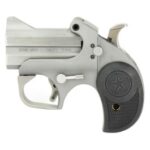 bond arms roughneck 9mm 25 2 rounds