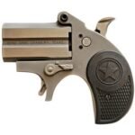 bond arms stubby 22 lr 22 2 rounds