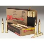 hornady custom 300 blackout 110 grain cx 20rd