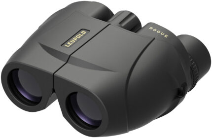 leupold bx 1 rogue 10x25mm porro prism compact waterproof binoculars