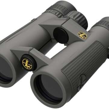 leupold bx 5 santiam hd 10x42mm roof prism binoculars